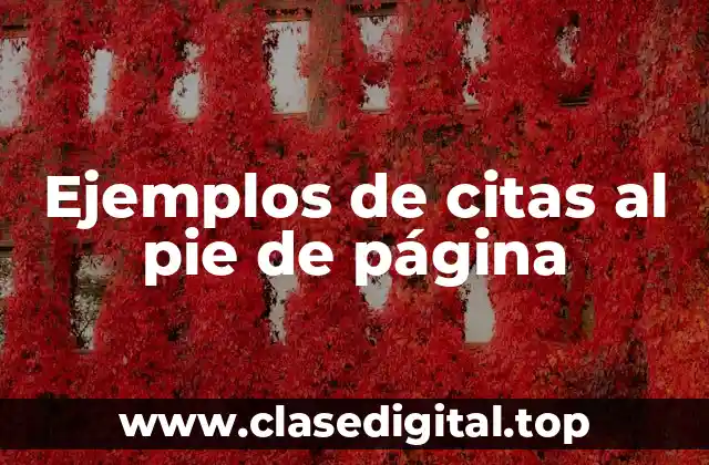 Ejemplos de citas al pie de página
