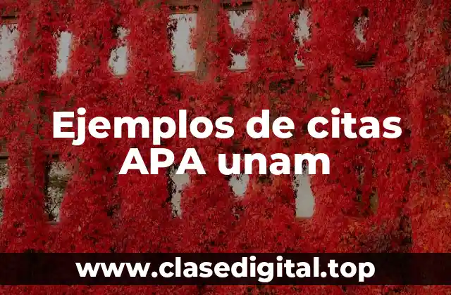 Ejemplos de citas APA unam