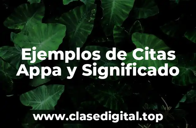 Ejemplos de Citas Appa