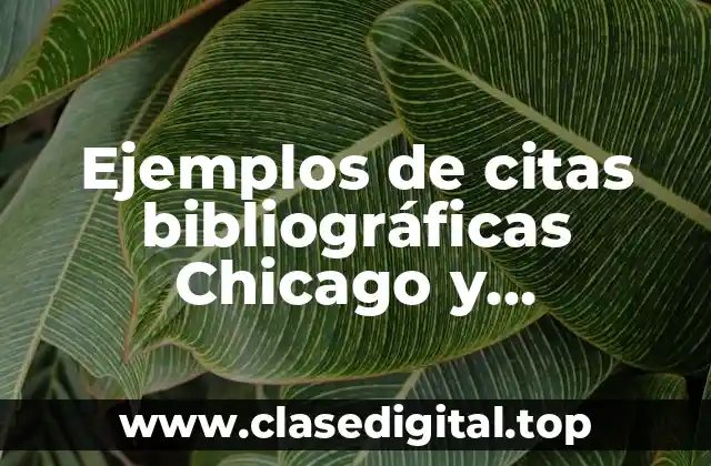 Ejemplos de citas bibliográficas Chicago y Significado
