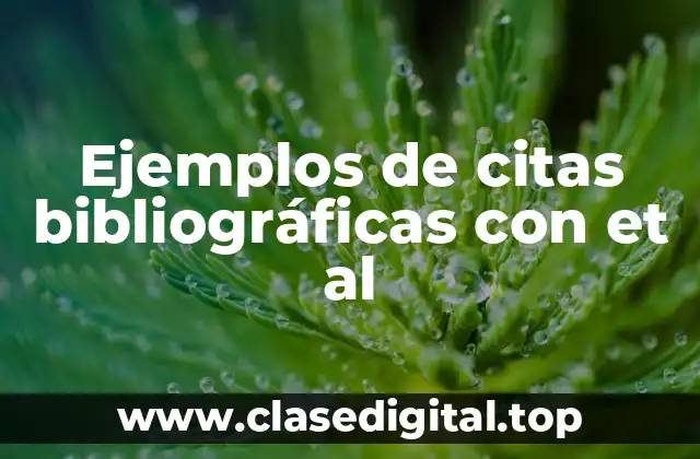 Ejemplos de citas bibliográficas con et al