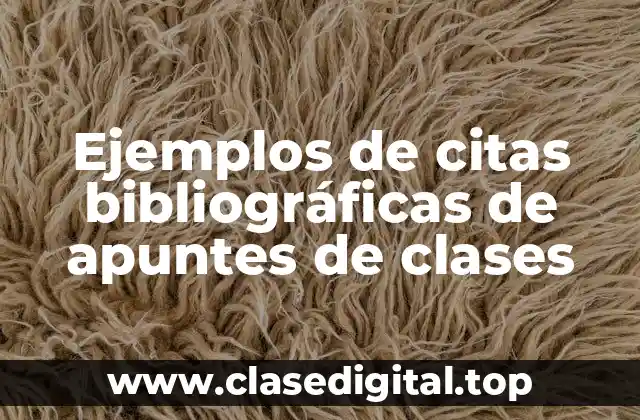 Ejemplos de citas bibliográficas de apuntes de clases