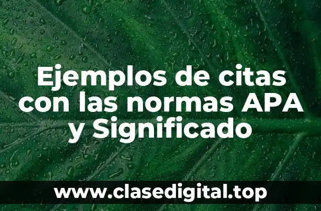 Ejemplos de citas con las normas APA y Significado