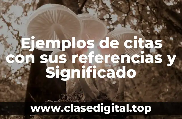 Ejemplos de citas con sus referencias y Significado