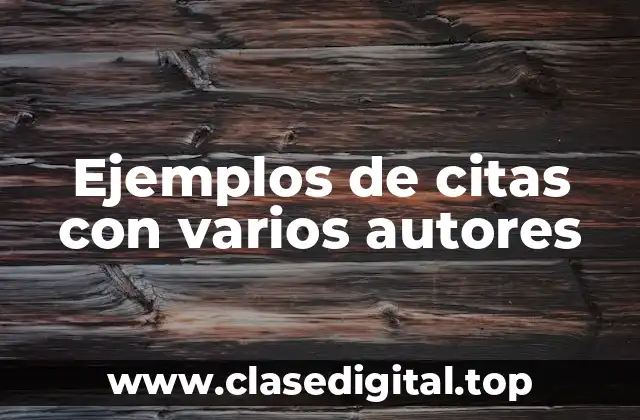 Ejemplos de citas con varios autores