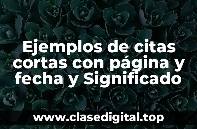 Ejemplos de citas cortas con página y fecha y Significado