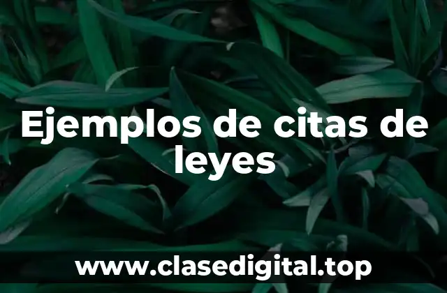 Ejemplos de citas de leyes