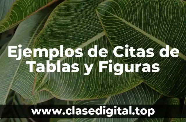 Ejemplos de Citas de Tablas y Figuras