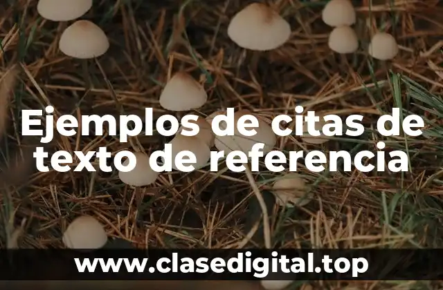 Ejemplos de citas de texto de referencia