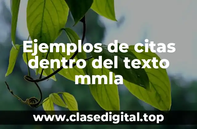 Ejemplos de citas dentro del texto mmla