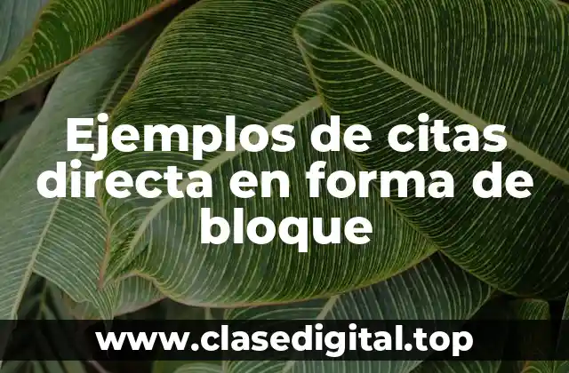 Ejemplos de citas directa en forma de bloque