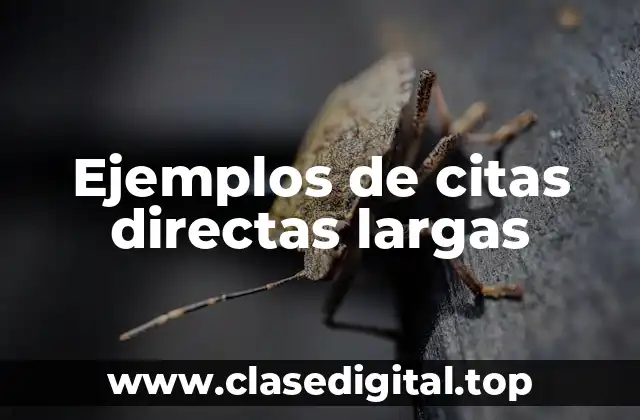 Ejemplos de citas directas largas