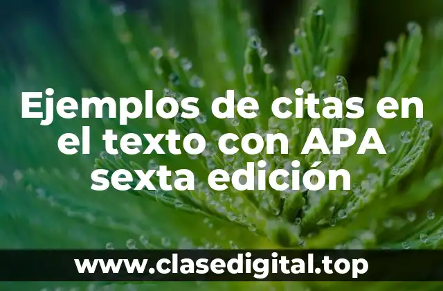Ejemplos de citas en el texto con APA sexta edición