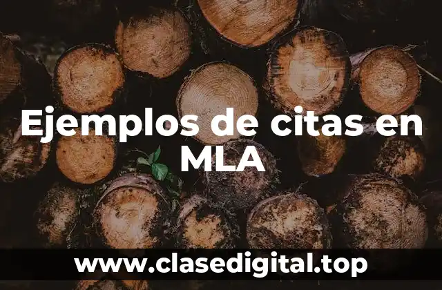 Ejemplos de citas en MLA