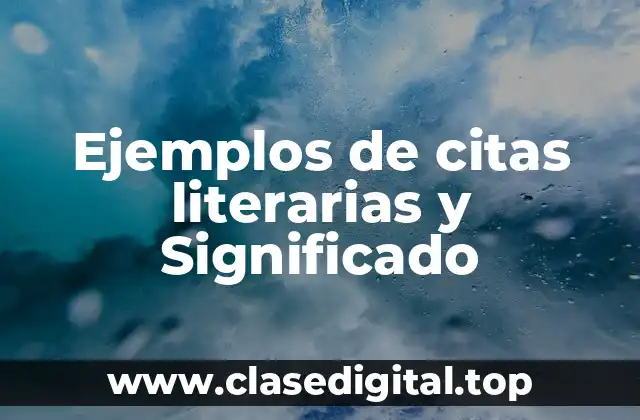 Ejemplos de citas literarias y Significado