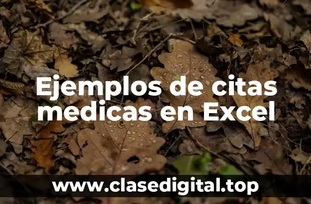 Ejemplos de citas medicas en Excel