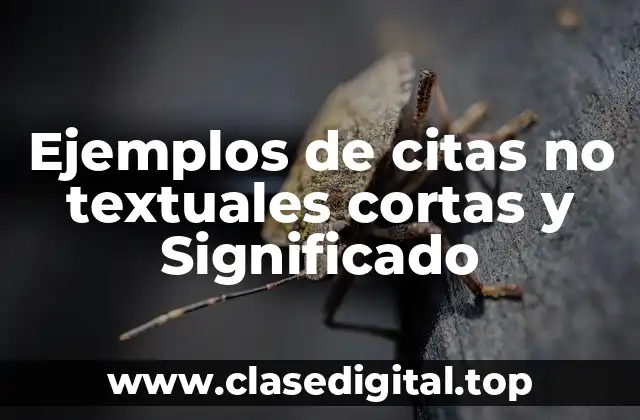 Ejemplos de citas no textuales cortas y Significado
