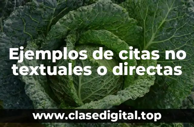 Ejemplos de citas no textuales o directas