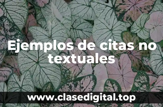 Ejemplos de citas no textuales