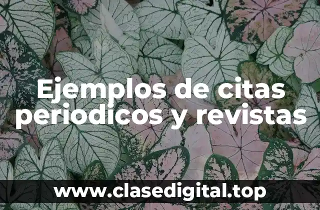 Ejemplos de citas periodicos y revistas