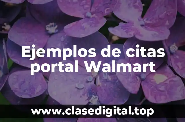Ejemplos de citas portal Walmart
