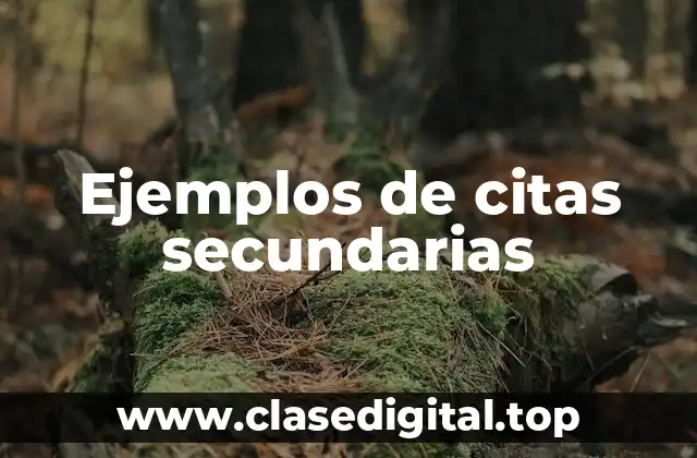 Ejemplos de citas secundarias