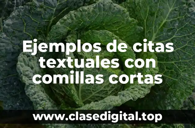 Ejemplos de citas textuales con comillas cortas