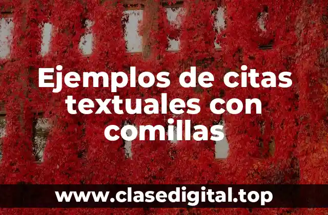 Ejemplos de citas textuales con comillas