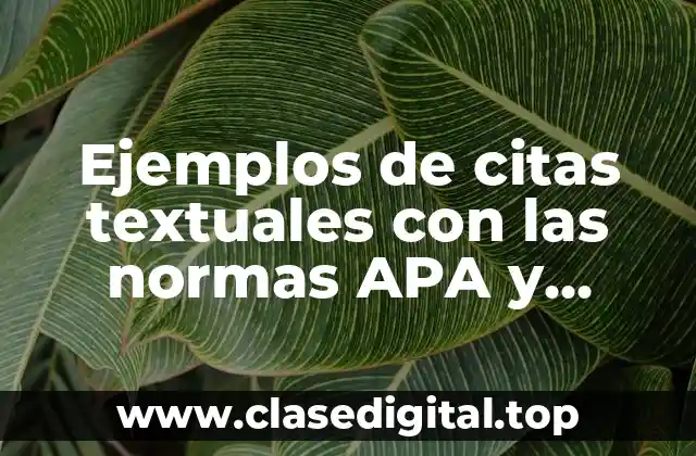 Ejemplos de citas textuales con las normas APA