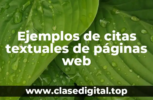 Ejemplos de citas textuales de páginas web