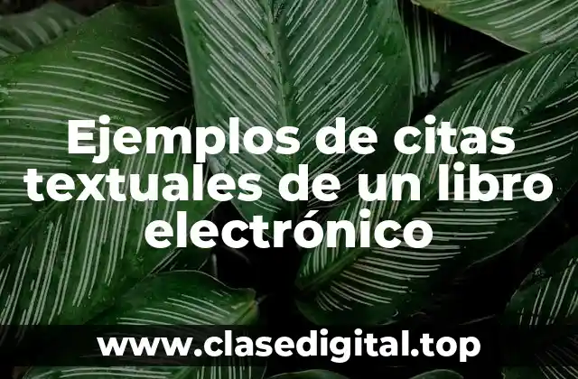 Ejemplos de citas textuales de un libro electrónico