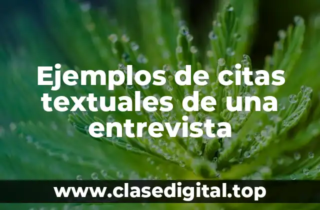 Ejemplos de citas textuales de una entrevista