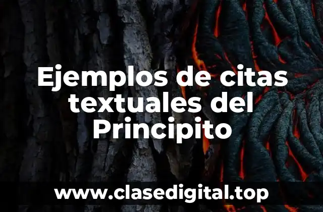 Ejemplos de citas textuales del Principito