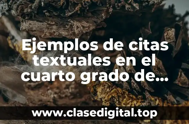 Ejemplos de citas textuales en el cuarto grado de primaria
