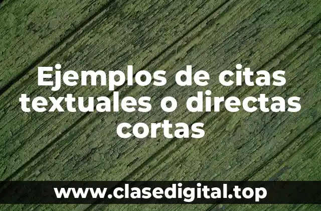 Ejemplos de citas textuales o directas cortas