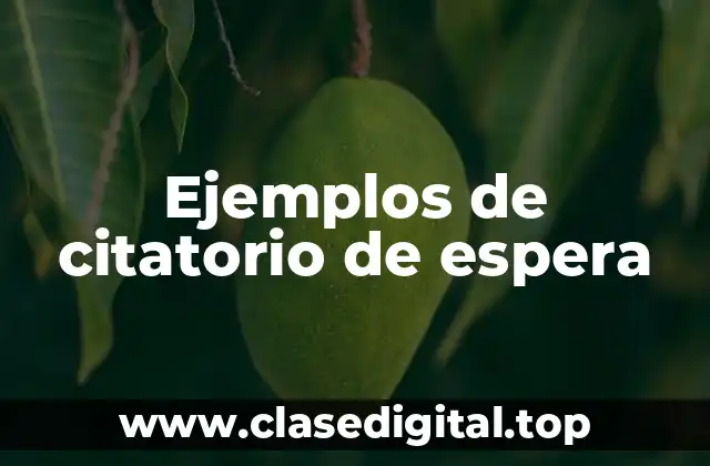 Ejemplos de citatorio de espera