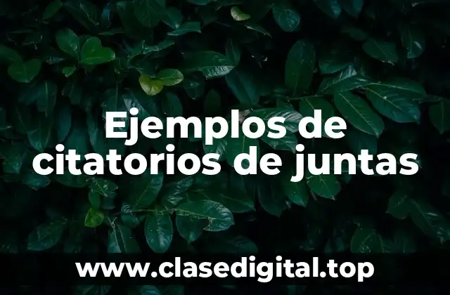 Ejemplos de citatorios de juntas