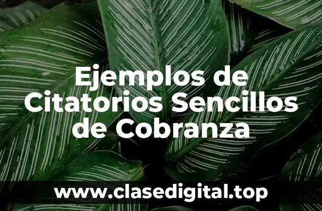 Ejemplos de Citatorios Sencillos de Cobranza
