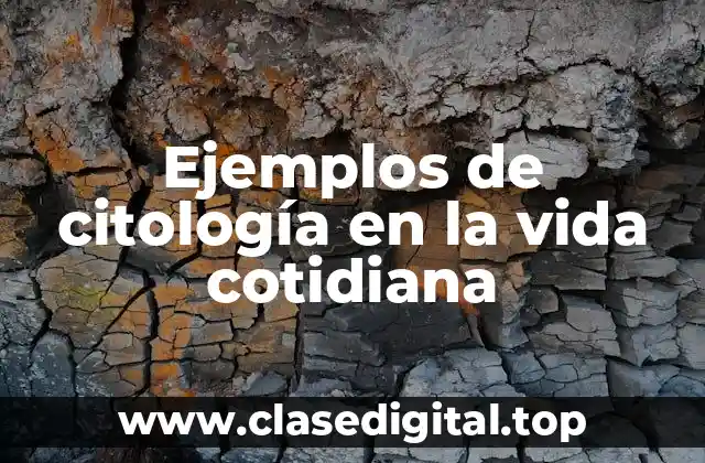 Ejemplos de citología en la vida cotidiana