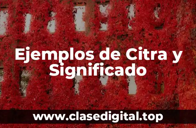 Ejemplos de Citra y Significado