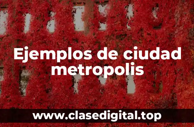 Ejemplos de ciudad metropolis