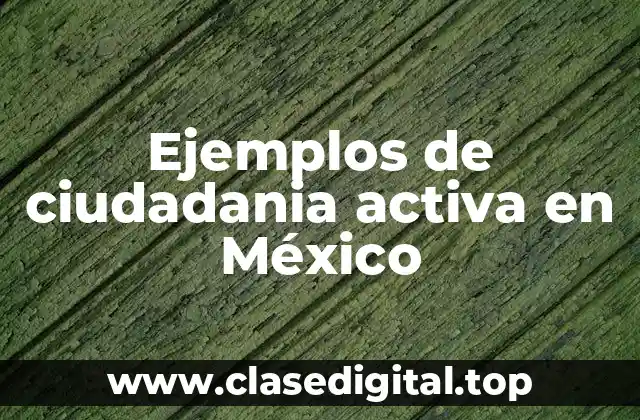 Ejemplos de ciudadanía activa en México