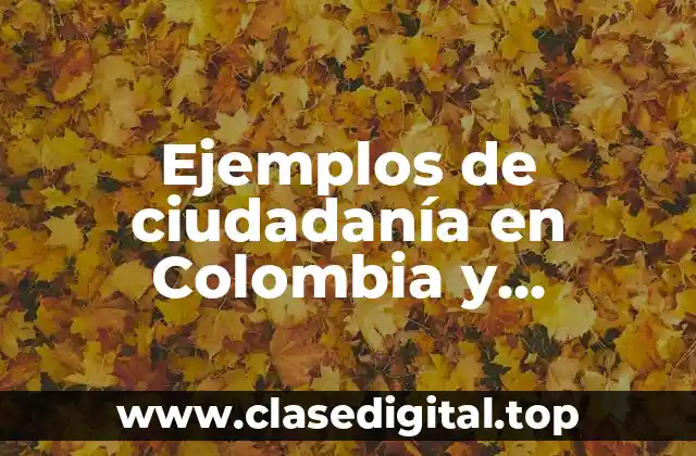 Ejemplos de ciudadanía en Colombia y Significado