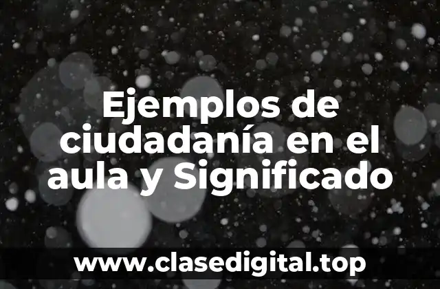 Ejemplos de ciudadanía en el aula y Significado