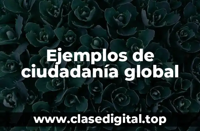 Ejemplos de ciudadanía global