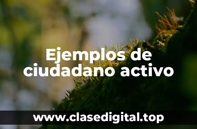 Ejemplos de ciudadano activo
