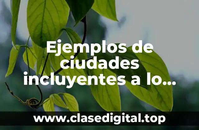 Ejemplos de ciudades incluyentes a lo largo del mundo y Significado