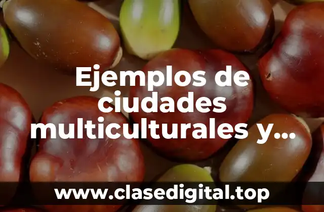 Ejemplos de ciudades multiculturales y Significado