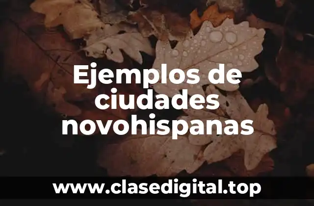 Ejemplos de ciudades novohispanas