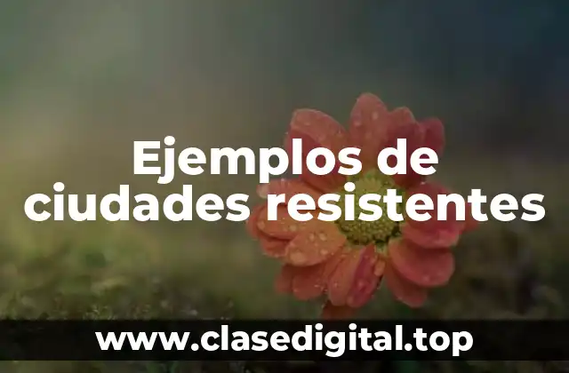 Ejemplos de ciudades resistentes